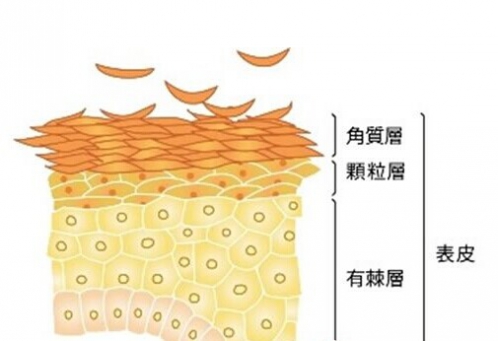 黑脸娃娃,美白,黑头,吉林铭医