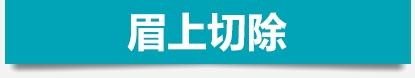 全眉切除