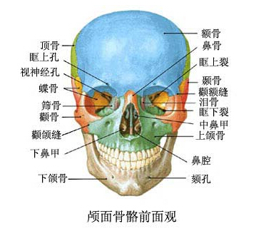 智齿,瘦脸,瘦脸针,长春好的整形医院