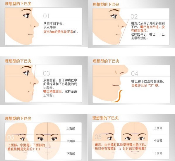 下巴图解大全医学图片