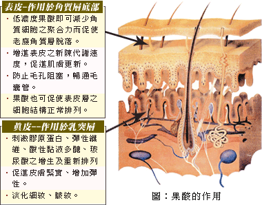 果酸换肤,原理,长春好的整形医院