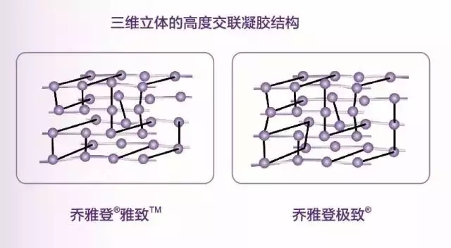 长春乔雅登