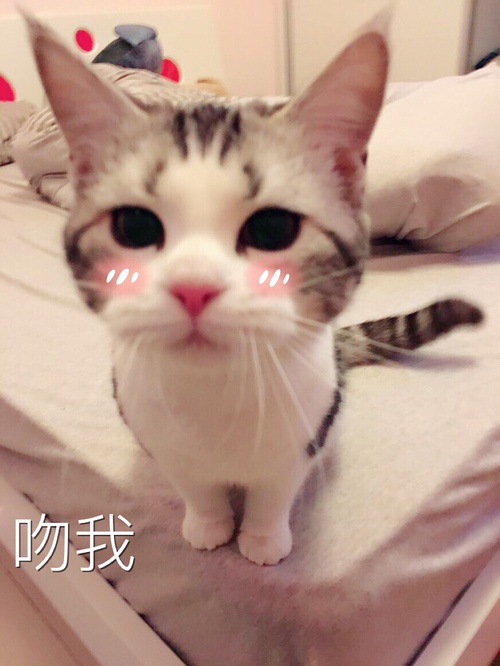 长春纹眉,半永久纹眉