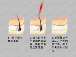 /uploads/allimg/160305/16-160305145F3333.png