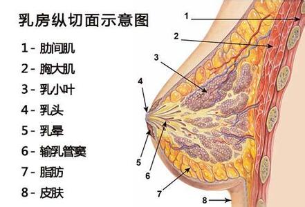 长春丰胸,注射丰胸