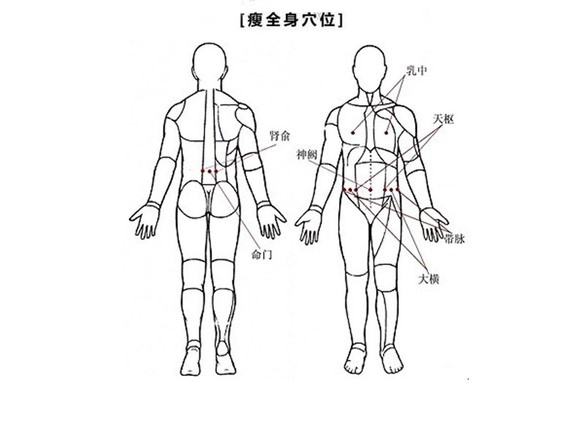 五行针减肥位置图图片